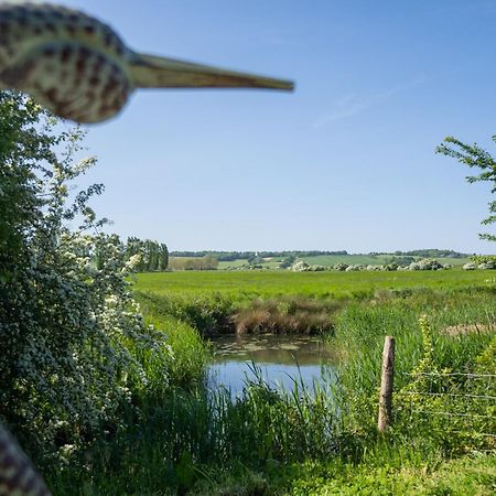 Winchelsea Lodge Zewnętrze zdjęcie