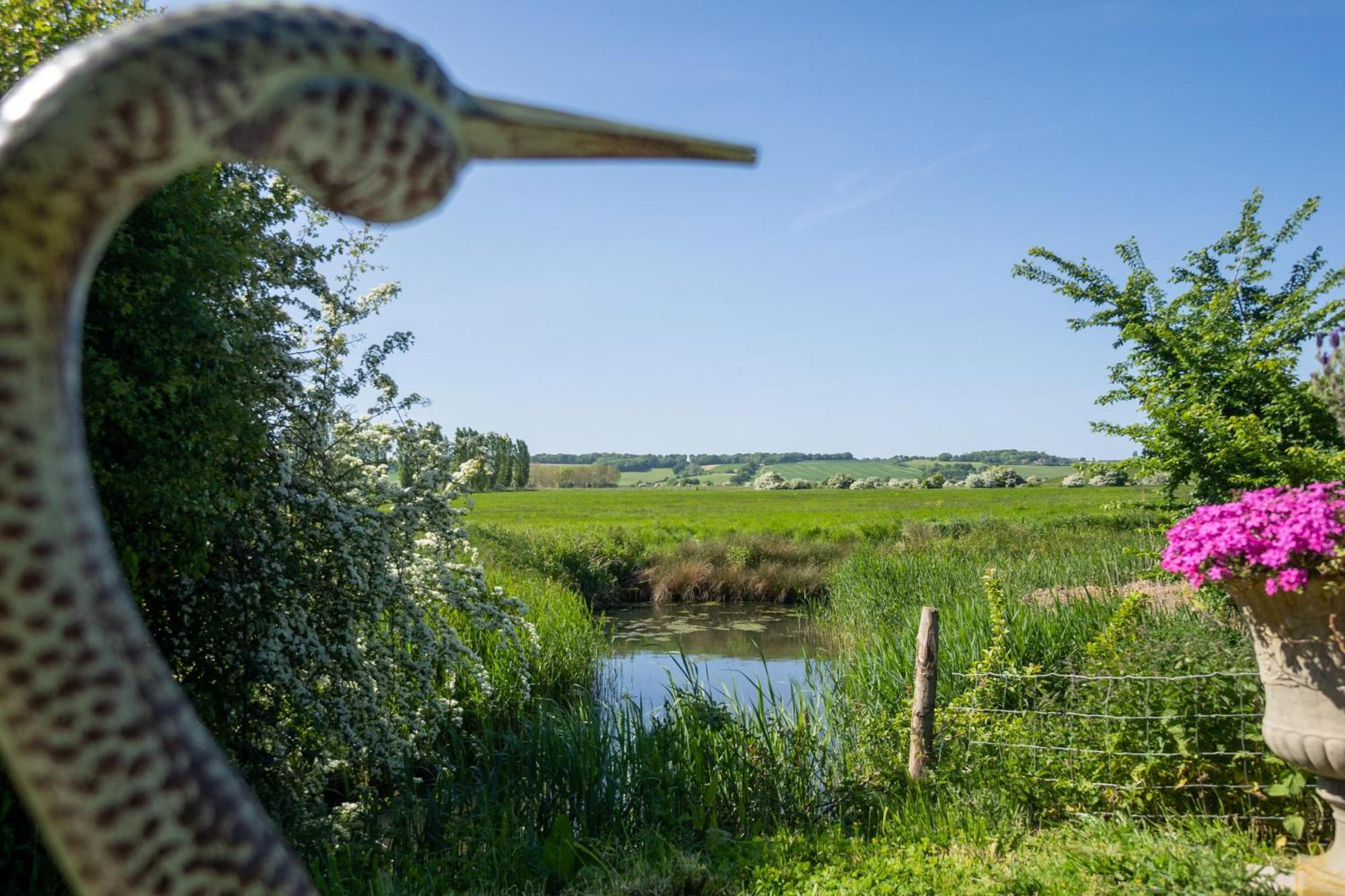 Winchelsea Lodge Zewnętrze zdjęcie